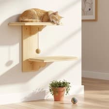 Image of Cat Wall Shelves, Tree-Inspired Wall-Mounted Cat Furniture with Dual Platforms