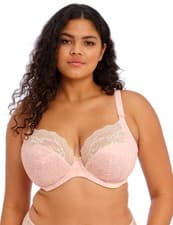 Image of Elomi Lucie Bra Plunge Underwired Non Padded Comfortable Womens Lingerie 4490