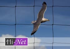 Image of Garden Netting 75mm Strong Mesh (3") Heavy Duty Knotted Anti Bird Net Seagull