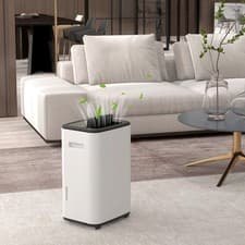 Image of 20L/Day 6L Portable Dehumidifier with 24H Timer, Auto Defog, Laundry Drying
