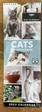 Image of Cats On Instagram Slim 2023 Calendar by Portico Designs Sealed