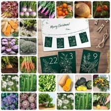 Image of DIY Vegetable Seed Advent Calendar Gift 24 Hand-Selected Veg Varieties Suttons