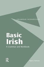 Image of Basic Irish: A Grammar and Workbook - 9781138128002