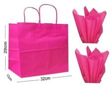 Image of Gift Bags Landscape Large Paper Party Boutique Shop Bag ~ With Tissue Wrap