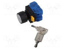 Image of 1 piece, Switch: rotary with key YW1K-33DE20 /E2UK