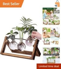 Image of Retro Desktop Glass Planter with Wooden and Iron Stand – 3 Bulb Vases