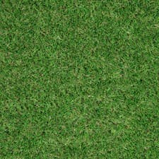 Image of Artificial Grass 37mm Ackee Realistic Astro Turf Garden Fake Lawn 2m 4m CHEAP