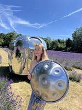 Image of Stunning Silver Handpan Drum D Kurd 10 Notes 432 Best Steel Beginners