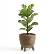 Image of Brown Plant Pots with Legs Indoor Outdoor Planters For Home Patio Garden