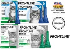 Image of FRONTLINE PLUS Cat Flea Treatment For Cats 1, 3 or 6 Pipette Spot On Kills Fleas