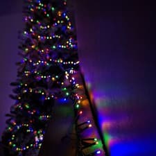 Image of 125m Treebrights Christmas Lights with 5000 LEDs in Multi-Coloured with Timer