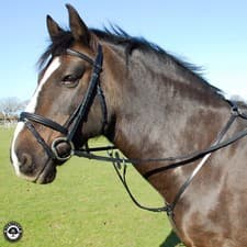 Image of English Leather Running Martingale by Heritage Handcrafted English Leather