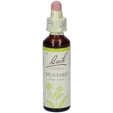 Image of Bach Original Flower Remedies Mustard - 20ml