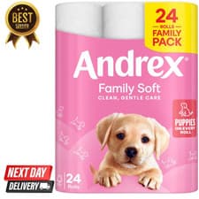 Image of Andrex Family Soft Toilet Paper 24 Rolls (Previously Andrex Gentle Clean) UK