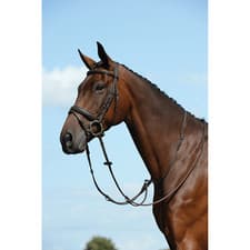 Image of Collegiate Syntovia+ Plain Flat Running Martingale - Brown