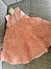 Image of MONSOON Girls Pink Christening Party Occasion Dress 3D Flowers 6-12 Mths £40 New