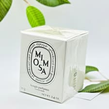 Image of NEW Diptyque Mimosa Scented Candle 70g Sealed Box 🖤