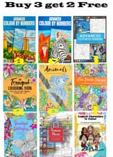 Image of ADULT ANTI STRESS COLOURING BOOK BOOKS Colour Therapy ALL AGES MIND CALMING