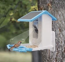 Image of Smart Bird Feeder With Bird Stand USB + Solar Panel Charging (Remote Connection)