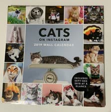 Image of 🧷 CHRONICLE BOOKS CATS ON INSTAGRAM 2019 WALL CALENDAR 🆕