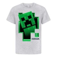 Image of Minecraft Boys Creeper Inside T-Shirt  NS5409