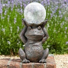 Image of Smart Garden Solar Powered Gazing Frog Colour Changing & White Garden Lighting 