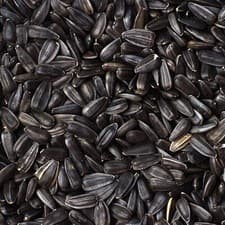 Image of 25KG (2x 12.55Kg) BLACK SUNFLOWER SEED WILD BIRD FOOD HIGH OIL NUTRITIOUS FEED