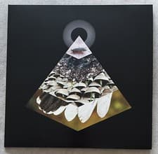 Image of Belus - Apophenia Vinyl - Limited White Vinyl - Unplayed - Inserts