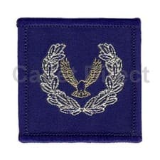 Image of Air Cadet Master Cadet Badge