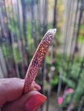 Image of Ted Baker Rose Gold Hammered Bangle New No Box