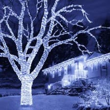 Image of 600 LED String/Fairy Christmas Tree Lights Multi Function, In/Outdoor, In Tub!