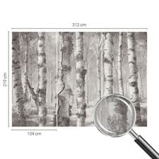 Image of Stick on Wallpaper Peel and Stick Wall Decor Birch Trees In A Classic Forest