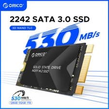 Image of ORICO 1TB M.2 SATA SSD 530Mb/s M2 NGFF M.2 Internal Solid State Drive 2242