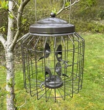 Image of Squirrel Proof Hanging Bird Seed Feeder Heavy Duty Garden Wild Birds