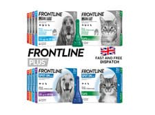 Image of FRONTLINE SPOT ON & PLUS CAT & DOG Flea Lice Tick Treatment Solution Kills Fleas