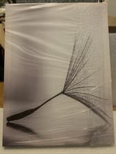 Image of Abstract Wall Art Poster Print Mural Dandelion Seed Canvas Painting 12x16 in.