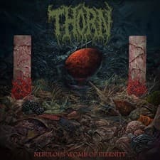 Image of Nebulous Womb of Eternity by Thorn [CD]