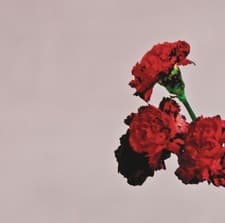 Image of JOHN LEGEND LOVE IN THE FUTURE FUNK SIXTEEN 16 TRACKS AUDIO MUSIC CD NEW