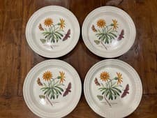 Image of PORTMEIRION BOTANIC GARDEN HARMONY PLATES SET X 4 DAISY 8.5” LUNCHEON SALAD