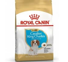 Image of ROYAL CANIN DOG CAVALIER KING CHARLES PUPPY BREED 1.5kg : Dry Food rc Junior Pet
