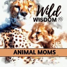 Image of Wild Wisdom Inspiration From Animal Moms - NEW JULIE ANN. SHAF 2023-02-24