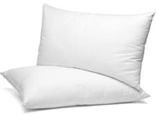 Image of SM Decor Pillows 2Pack Soft Support Bounce To Back HotelQuality Extra Soft White