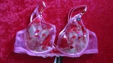 Image of ANN SUMMERS UNDERWIRED PINK NON PAD PLUNGE BRA SIZE 32C NWT 'HEART BOUQUET