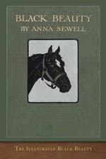Image of The Illustrated Black Beauty: 100 Illustrations