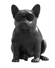 Image of Jarre Aerobull HD1 Wireless Speaker Matte Black