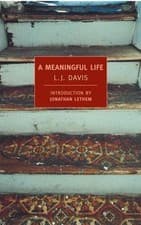 Image of A Meaningful Life by L. J. Davis