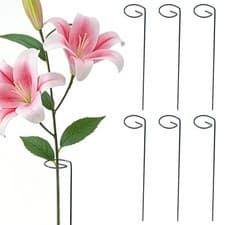 Image of 6-100Pcs 45cm 60cm 90cm Metal Plant Support Stakes Garden Single Stem Support