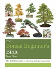 Image of The Bonsai Beginner's Bible by Peter Chan: New