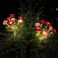 Image of Solar Powered Lights Outdoor Garden Lights with Waterproof Flowers