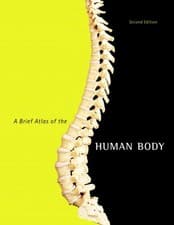 Image of Brief Atlas of the Human Body, A by Matt Hutchinson (English) Spiral Book